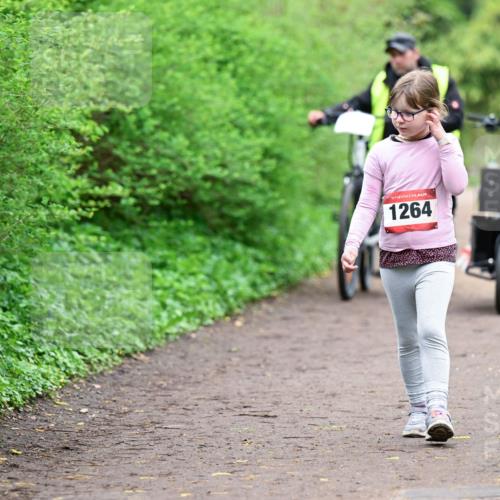 19.04.2026 - Hammer Lauf Dr. Thomas Lammeyer http://msf.ph/oto/9529029 19.04.2026 09:29:57 Laufen 1264 meine-sportfotos.de