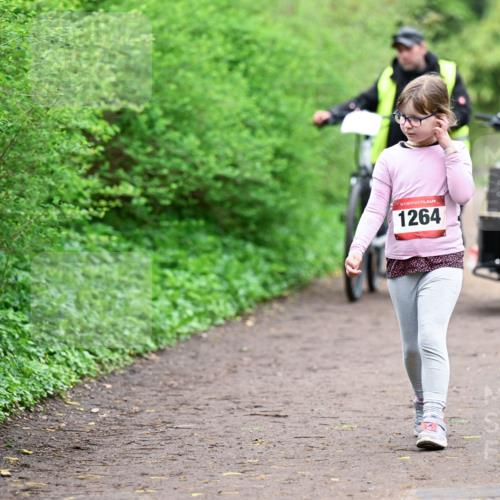 19.04.2026 - Hammer Lauf Dr. Thomas Lammeyer http://msf.ph/oto/9529032 19.04.2026 09:29:57 Laufen 1264 meine-sportfotos.de