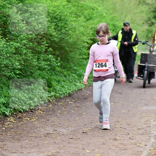 19.04.2026 - Hammer Lauf Dr. Thomas Lammeyer http://msf.ph/oto/9529046 19.04.2026 09:30:01 Laufen 1264 meine-sportfotos.de