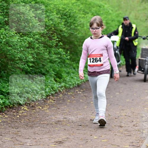19.04.2026 - Hammer Lauf Dr. Thomas Lammeyer http://msf.ph/oto/9529052 19.04.2026 09:30:02 Laufen 1264 meine-sportfotos.de
