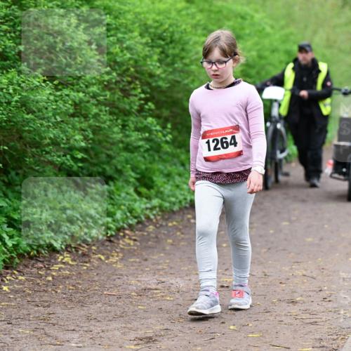 19.04.2026 - Hammer Lauf Dr. Thomas Lammeyer http://msf.ph/oto/9529057 19.04.2026 09:30:02 Laufen 1264 meine-sportfotos.de