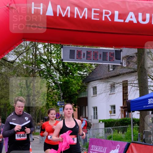 19.04.2026 - Hammer Lauf Tim E. http://msf.ph/oto/9530064 19.04.2026 10:15:22 Ziel 227, 279, 733, 948, 1053, 1640, 1828 meine-sportfotos.de