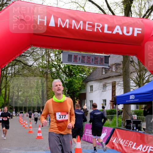 19.04.2026 - Hammer Lauf Tim E. http://msf.ph/oto/9532291 19.04.2026 10:33:27 Ziel 128, 130, 246, 377, 400, 1602, 1641 meine-sportfotos.de
