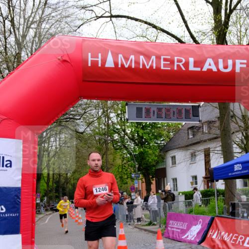 19.04.2026 - Hammer Lauf Tim E. http://msf.ph/oto/9532370 19.04.2026 10:34:15 Ziel 290, 313, 1246, 1724, 1803 meine-sportfotos.de
