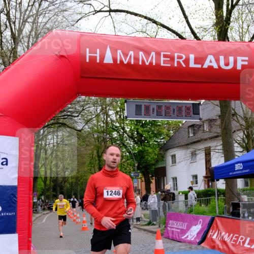 19.04.2026 - Hammer Lauf Tim E. http://msf.ph/oto/9532376 19.04.2026 10:34:16 Ziel 290, 313, 1246, 1724 meine-sportfotos.de