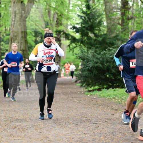19.04.2026 - Hammer Lauf Dr. Thomas Lammeyer http://msf.ph/oto/9532377 19.04.2026 10:11:08 Laufen 081, 1239 meine-sportfotos.de
