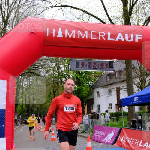 19.04.2026 - Hammer Lauf Tim E. http://msf.ph/oto/9532378 19.04.2026 10:34:16 Ziel 290, 313, 1246, 1724 meine-sportfotos.de
