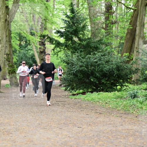 19.04.2026 - Hammer Lauf Dr. Thomas Lammeyer http://msf.ph/oto/9532565 19.04.2026 10:11:35 Laufen 1201, 1249, 1150 meine-sportfotos.de