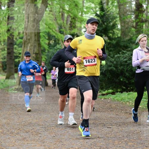 19.04.2026 - Hammer Lauf Dr. Thomas Lammeyer http://msf.ph/oto/9532738 19.04.2026 10:12:04 Laufen 955, 651, 1623 meine-sportfotos.de