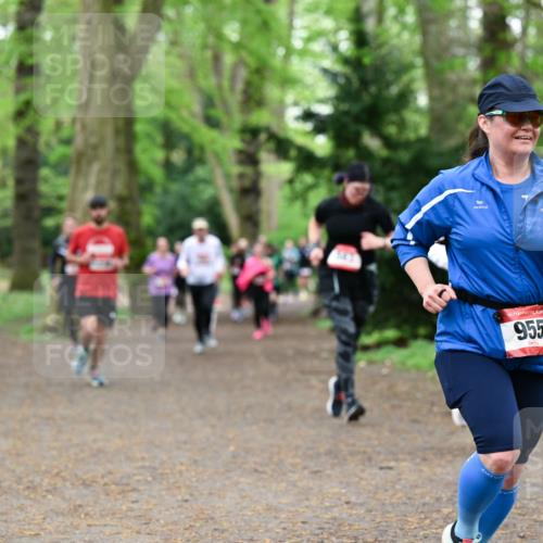19.04.2026 - Hammer Lauf Dr. Thomas Lammeyer http://msf.ph/oto/9532760 19.04.2026 10:12:07 Laufen 955 meine-sportfotos.de
