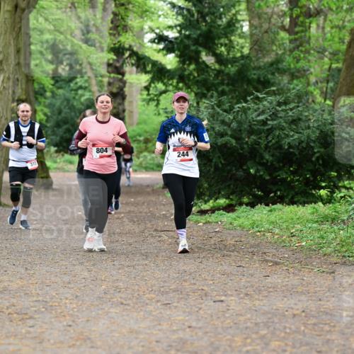 19.04.2026 - Hammer Lauf Dr. Thomas Lammeyer http://msf.ph/oto/9532949 19.04.2026 10:12:40 Laufen 315, 804, 244 meine-sportfotos.de