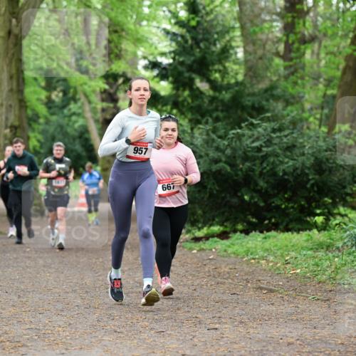 19.04.2026 - Hammer Lauf Dr. Thomas Lammeyer http://msf.ph/oto/9533100 19.04.2026 10:13:04 Laufen 150, 957, 667 meine-sportfotos.de