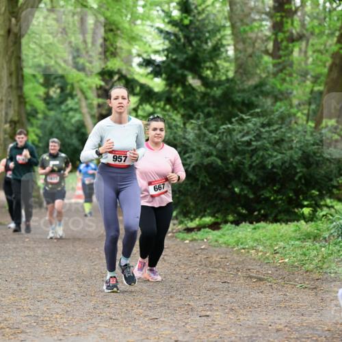 19.04.2026 - Hammer Lauf Dr. Thomas Lammeyer http://msf.ph/oto/9533101 19.04.2026 10:13:04 Laufen 957, 667, 760, 760 meine-sportfotos.de