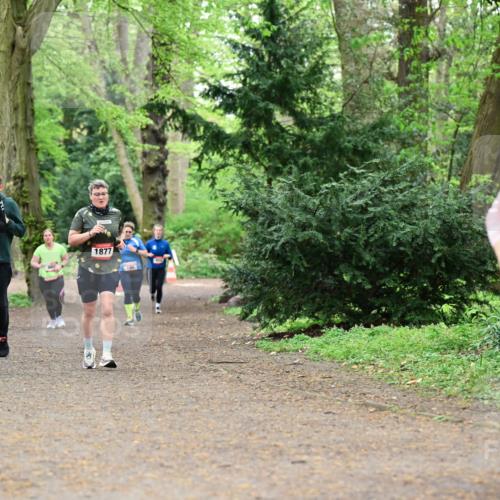 19.04.2026 - Hammer Lauf Dr. Thomas Lammeyer http://msf.ph/oto/9533114 19.04.2026 10:13:06 Laufen 963, 180, 1877 meine-sportfotos.de