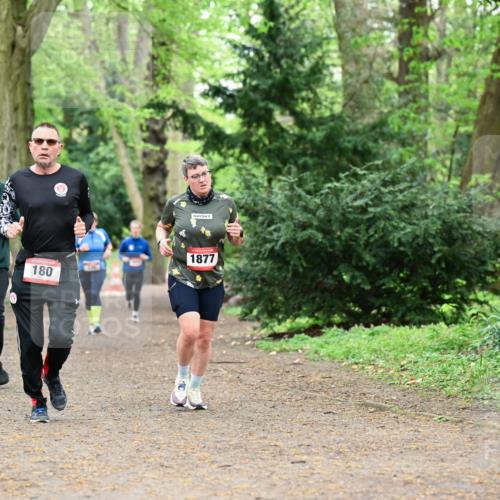 19.04.2026 - Hammer Lauf Dr. Thomas Lammeyer http://msf.ph/oto/9533129 19.04.2026 10:13:08 Laufen 180, 1877 meine-sportfotos.de