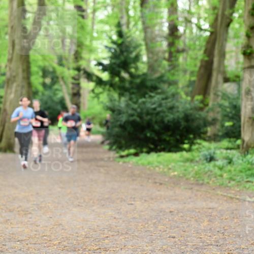 19.04.2026 - Hammer Lauf Dr. Thomas Lammeyer http://msf.ph/oto/9533587 19.04.2026 10:14:39 Laufen  meine-sportfotos.de