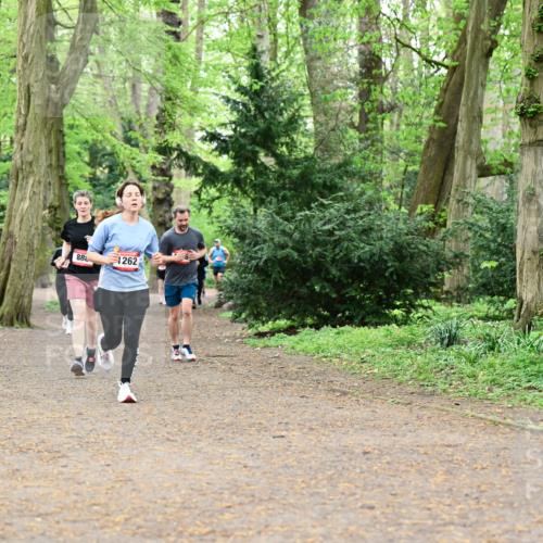 19.04.2026 - Hammer Lauf Dr. Thomas Lammeyer http://msf.ph/oto/9533601 19.04.2026 10:14:42 Laufen 1262 meine-sportfotos.de