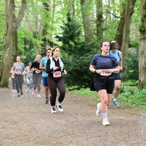 19.04.2026 - Hammer Lauf Dr. Thomas Lammeyer http://msf.ph/oto/9533715 19.04.2026 10:14:59 Laufen 1830, 799 meine-sportfotos.de