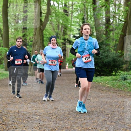 19.04.2026 - Hammer Lauf Dr. Thomas Lammeyer http://msf.ph/oto/9534718 19.04.2026 10:17:15 Laufen 310, 187, 186 meine-sportfotos.de