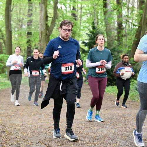 19.04.2026 - Hammer Lauf Dr. Thomas Lammeyer http://msf.ph/oto/9534743 19.04.2026 10:17:17 Laufen 747, 748, 310, 210, 782, 187 meine-sportfotos.de