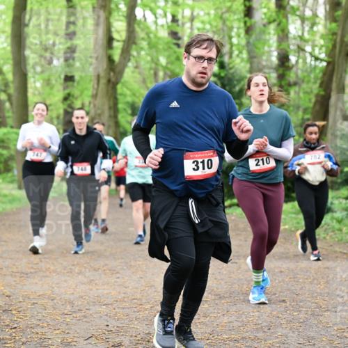 19.04.2026 - Hammer Lauf Dr. Thomas Lammeyer http://msf.ph/oto/9534746 19.04.2026 10:17:18 Laufen 748, 310, 210, 782 meine-sportfotos.de