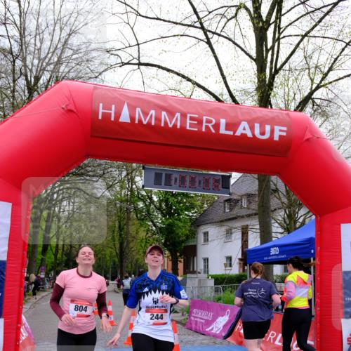 19.04.2026 - Hammer Lauf Tim E. http://msf.ph/oto/9535340 19.04.2026 10:45:14 Ziel 229, 230, 244, 289, 492, 493, 804, 1009 meine-sportfotos.de