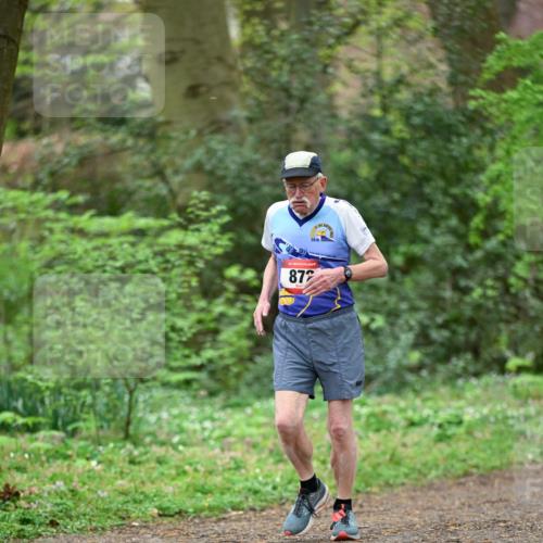 19.04.2026 - Hammer Lauf Dr. Thomas Lammeyer http://msf.ph/oto/9536439 19.04.2026 10:24:03 Laufen 872 meine-sportfotos.de