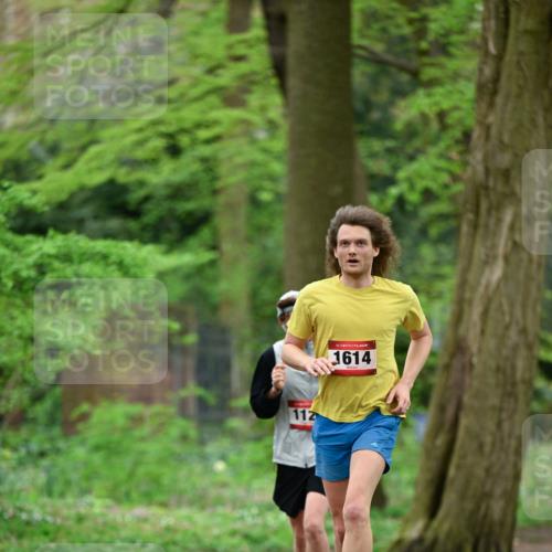 19.04.2026 - Hammer Lauf Dr. Thomas Lammeyer http://msf.ph/oto/9536935 19.04.2026 10:27:35 Laufen 112, 1614 meine-sportfotos.de