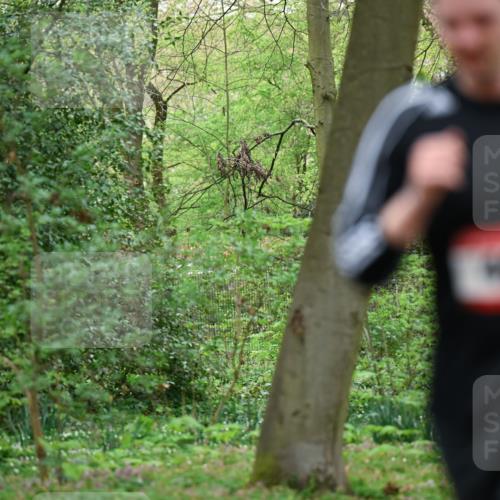 19.04.2026 - Hammer Lauf Dr. Thomas Lammeyer http://msf.ph/oto/9537500 19.04.2026 10:30:59 Laufen  meine-sportfotos.de