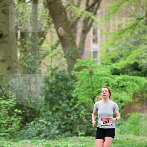 19.04.2026 - Hammer Lauf Dr. Thomas Lammeyer http://msf.ph/oto/9538238 19.04.2026 10:34:12 Laufen 283 meine-sportfotos.de
