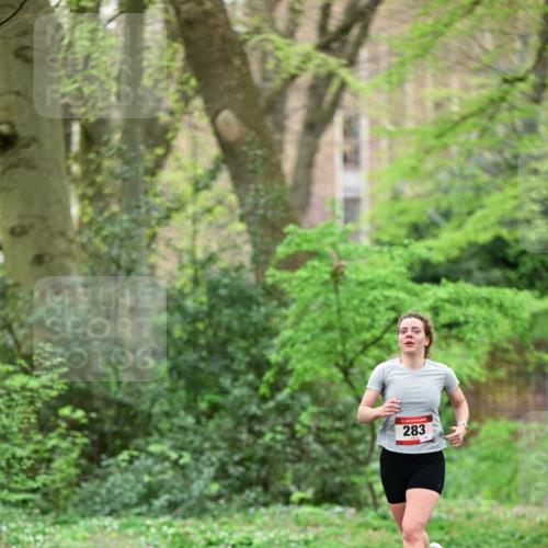 19.04.2026 - Hammer Lauf Dr. Thomas Lammeyer http://msf.ph/oto/9538240 19.04.2026 10:34:11 Laufen 283 meine-sportfotos.de
