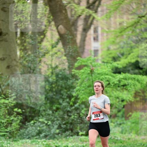 19.04.2026 - Hammer Lauf Dr. Thomas Lammeyer http://msf.ph/oto/9538241 19.04.2026 10:34:12 Laufen 283 meine-sportfotos.de