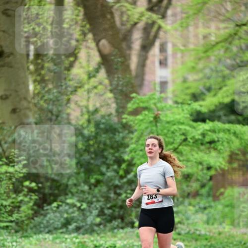 19.04.2026 - Hammer Lauf Dr. Thomas Lammeyer http://msf.ph/oto/9538243 19.04.2026 10:34:12 Laufen 283 meine-sportfotos.de