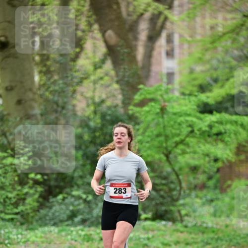 19.04.2026 - Hammer Lauf Dr. Thomas Lammeyer http://msf.ph/oto/9538246 19.04.2026 10:34:12 Laufen 283 meine-sportfotos.de