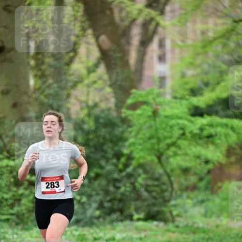 19.04.2026 - Hammer Lauf Dr. Thomas Lammeyer http://msf.ph/oto/9538254 19.04.2026 10:34:13 Laufen 283 meine-sportfotos.de