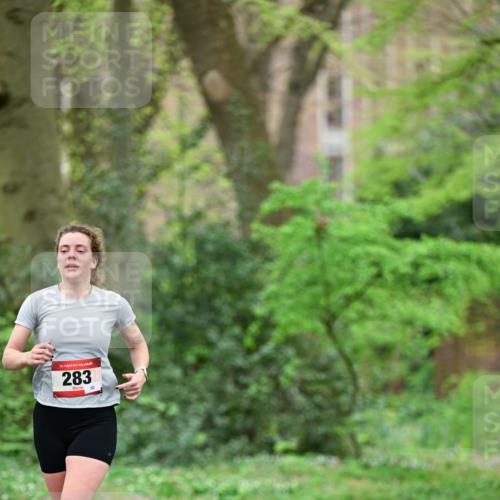 19.04.2026 - Hammer Lauf Dr. Thomas Lammeyer http://msf.ph/oto/9538256 19.04.2026 10:34:13 Laufen 283 meine-sportfotos.de