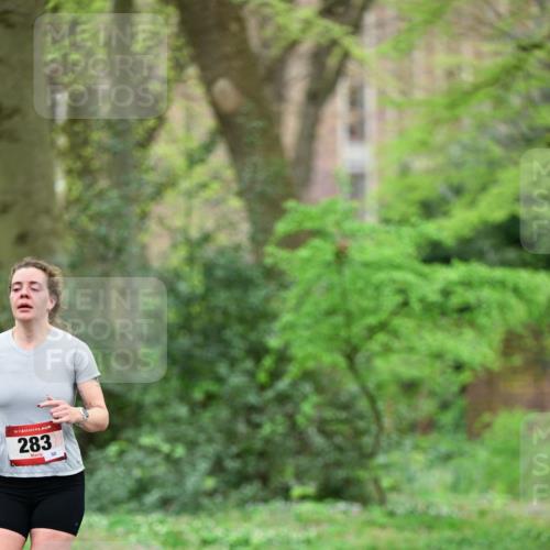 19.04.2026 - Hammer Lauf Dr. Thomas Lammeyer http://msf.ph/oto/9538257 19.04.2026 10:34:13 Laufen 283 meine-sportfotos.de