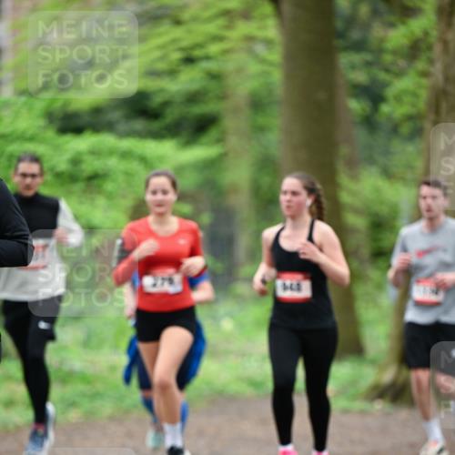 19.04.2026 - Hammer Lauf Dr. Thomas Lammeyer http://msf.ph/oto/9539594 19.04.2026 10:40:36 Laufen 275 meine-sportfotos.de