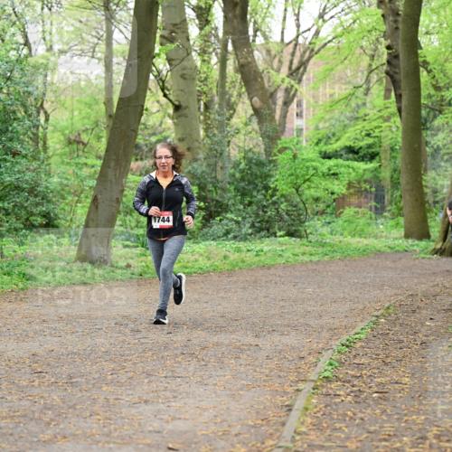 19.04.2026 - Hammer Lauf Dr. Thomas Lammeyer http://msf.ph/oto/9539784 19.04.2026 10:41:08 Laufen 1744 meine-sportfotos.de