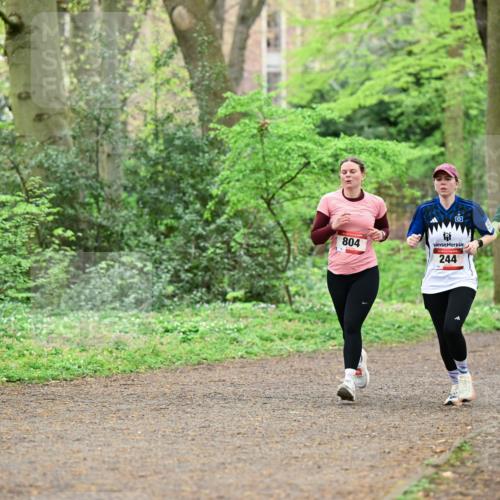 19.04.2026 - Hammer Lauf Dr. Thomas Lammeyer http://msf.ph/oto/9540188 19.04.2026 10:42:19 Laufen 804, 244, 1009, 760 meine-sportfotos.de