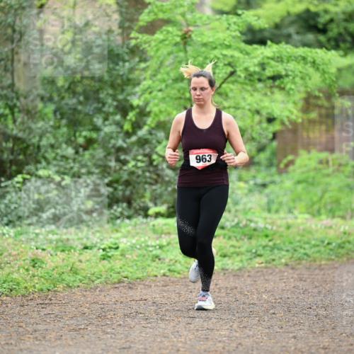 19.04.2026 - Hammer Lauf Dr. Thomas Lammeyer http://msf.ph/oto/9540390 19.04.2026 10:42:55 Laufen 963 meine-sportfotos.de