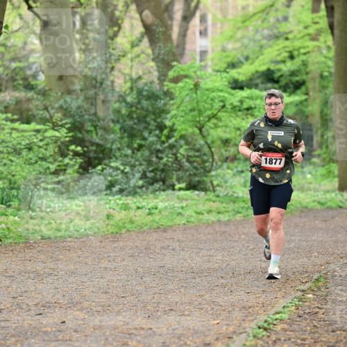19.04.2026 - Hammer Lauf Dr. Thomas Lammeyer http://msf.ph/oto/9540649 19.04.2026 10:43:54 Laufen 1877 meine-sportfotos.de