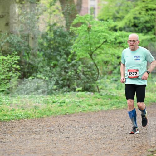 19.04.2026 - Hammer Lauf Dr. Thomas Lammeyer http://msf.ph/oto/9540946 19.04.2026 10:44:56 Laufen 1872 meine-sportfotos.de