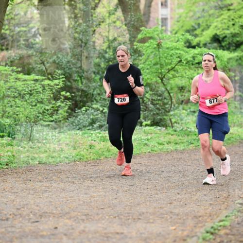 19.04.2026 - Hammer Lauf Dr. Thomas Lammeyer http://msf.ph/oto/9541306 19.04.2026 10:46:01 Laufen 720, 877 meine-sportfotos.de