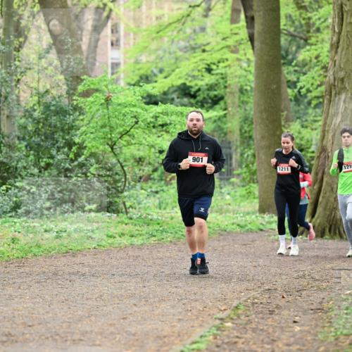19.04.2026 - Hammer Lauf Dr. Thomas Lammeyer http://msf.ph/oto/9541646 19.04.2026 10:47:40 Laufen 901, 1211, 1210, 1014 meine-sportfotos.de