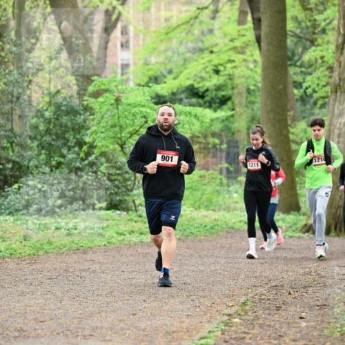 19.04.2026 - Hammer Lauf Dr. Thomas Lammeyer http://msf.ph/oto/9541652 19.04.2026 10:47:40 Laufen 901, 1210, 1211, 1014 meine-sportfotos.de