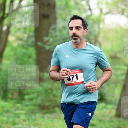 19.04.2026 - Hammer Lauf Dr. Thomas Lammeyer http://msf.ph/oto/9541723 19.04.2026 10:47:53 Laufen 871 meine-sportfotos.de