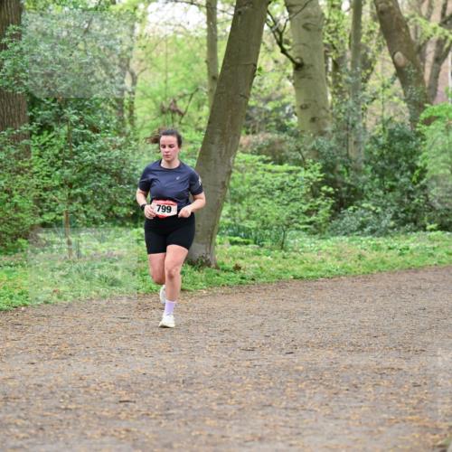 19.04.2026 - Hammer Lauf Dr. Thomas Lammeyer http://msf.ph/oto/9541784 19.04.2026 10:48:17 Laufen 799 meine-sportfotos.de