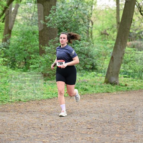 19.04.2026 - Hammer Lauf Dr. Thomas Lammeyer http://msf.ph/oto/9541792 19.04.2026 10:48:18 Laufen 799 meine-sportfotos.de