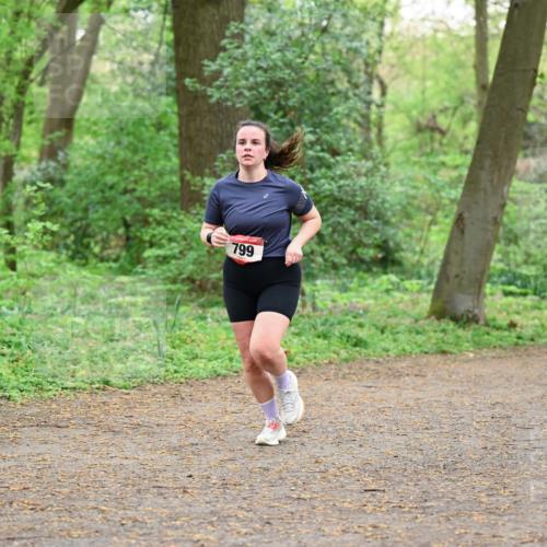 19.04.2026 - Hammer Lauf Dr. Thomas Lammeyer http://msf.ph/oto/9541793 19.04.2026 10:48:18 Laufen 799 meine-sportfotos.de